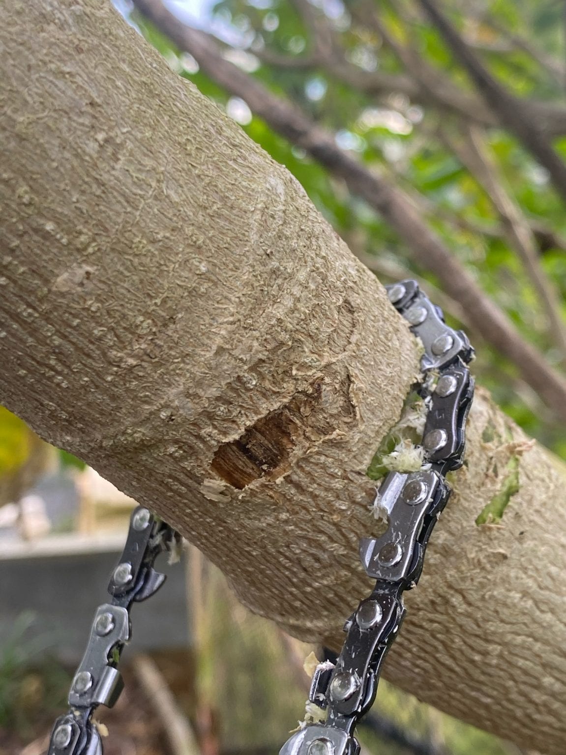 Drifta Stockton Pocket Chainsaw Drifta Camping & 4WD