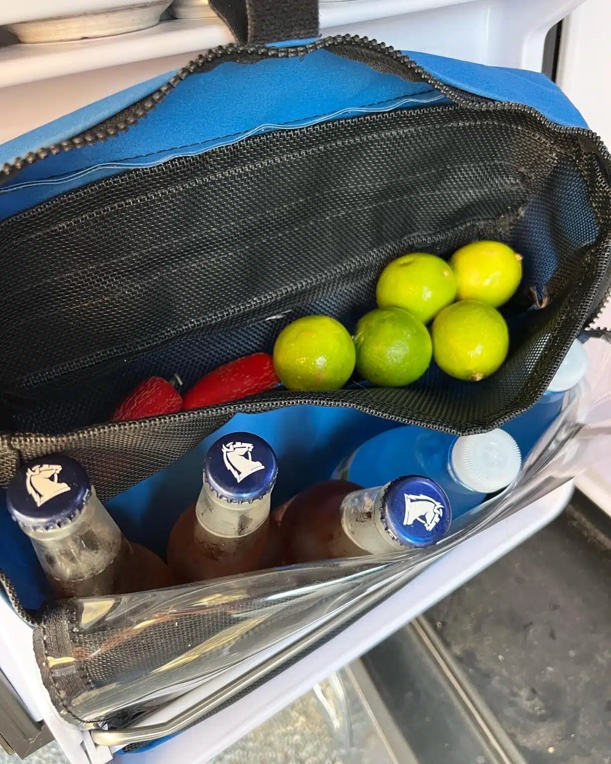 Drifta Internal Fridge Bag Set Drifta Camping & 4WD