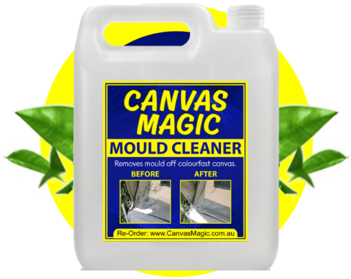 4l Canvas Magic Molds Removal 800x800 Crop 2048x1625